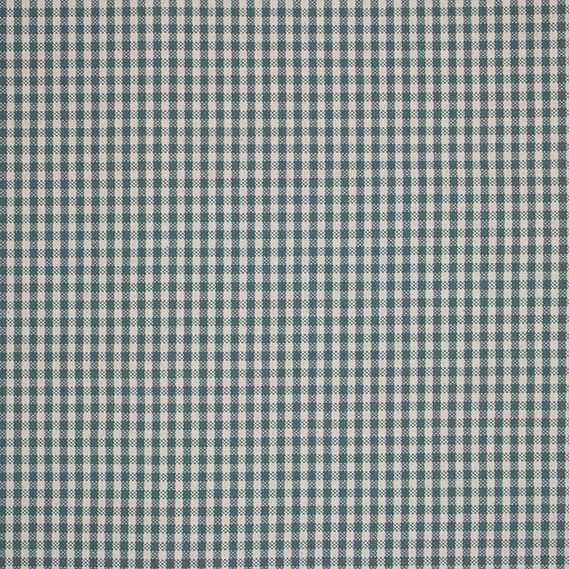Bright and Cheerful Harbour Gingham Fabric for Kitchen Decor