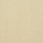 Elegant cream fire retardant fabric for upholstery with a versatile plain weave.