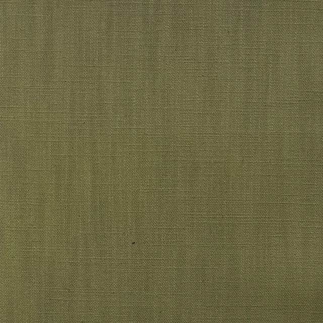Panton Lizard - Green Plain Linen Curtain Upholstery Fabric