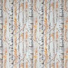 Silver Birch Amber - Autumnal Tree Printed Curtain Fabric