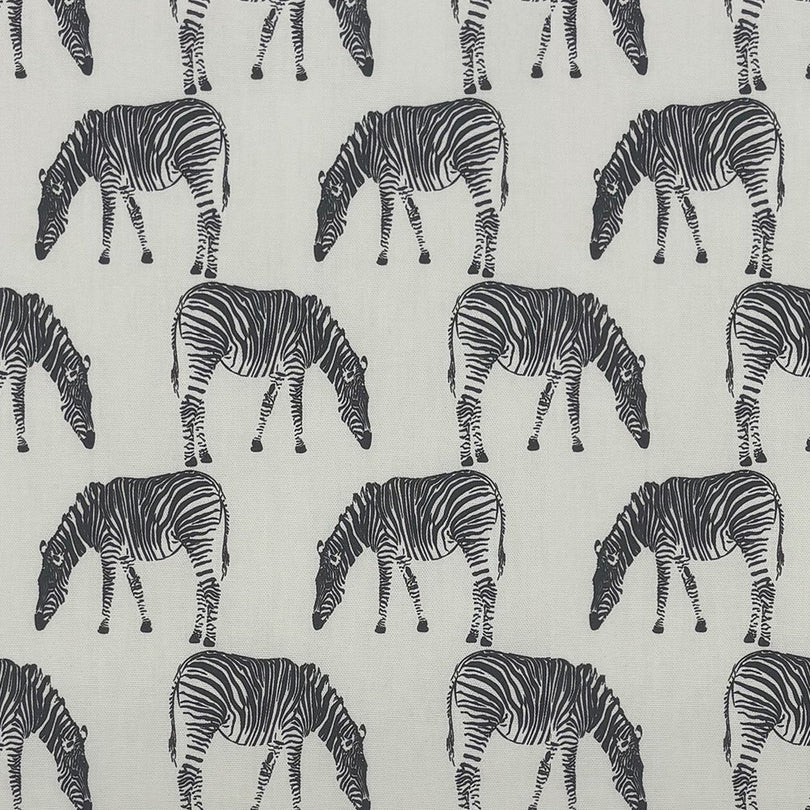 Zebra Cotton Curtain Fabric