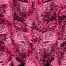 Pink leopard print Crib 5 velvet fabric with vivid fuchsia and black animal markings