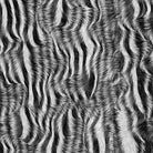 Zebra print fabric flat image in black and white animal stripe design