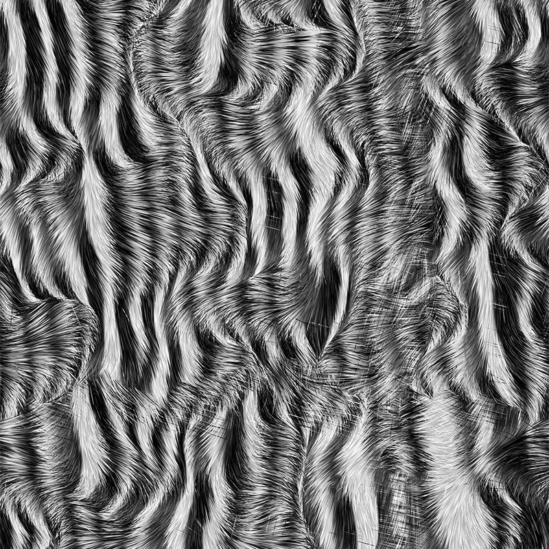 Zebra print fabric flat image in black and white animal stripe design