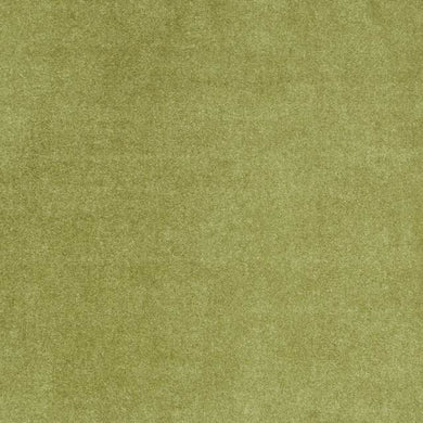 Camden Velvet Fabric