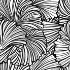 Shell Cotton Curtain Fabric - Black / White, a high-quality, durable material ideal for elegant window treatments in any living space