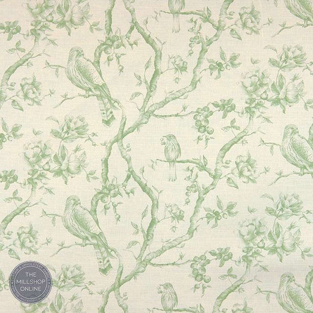 Bilberry Green Design